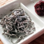 海藻と海草の違い　～昆布がおせち料理に入っている理由