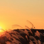 秋の日は釣瓶落とし　～秋の日の入りは一日に一分以上早くなっていく、三夕の歌